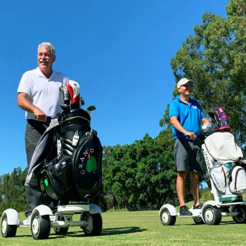 4-Wheel Electric Golf Cart Scooter